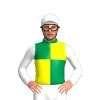 atthe races results|Ayr Horse Racing Results .
